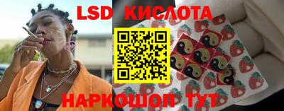 ГАЛЛЮЦИНОГЕННЫЕ ГРИБЫ Гусев