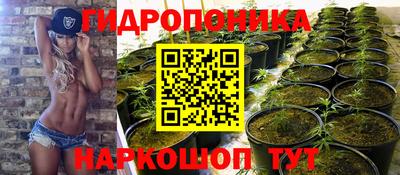 молекула духа Гусиноозёрск