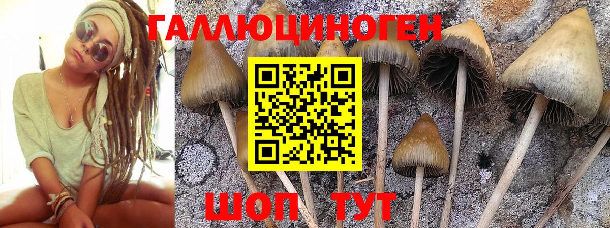 Псилоцибиновые грибы Magic Shrooms Касимов