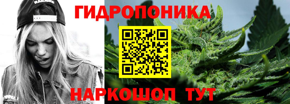 Канабис конопля  Бошки Шишки AK-47  Марихуана Bruce Banner  Касимов  Вход с VPN  Канабис сатива 